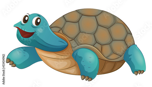 A turtle smiling