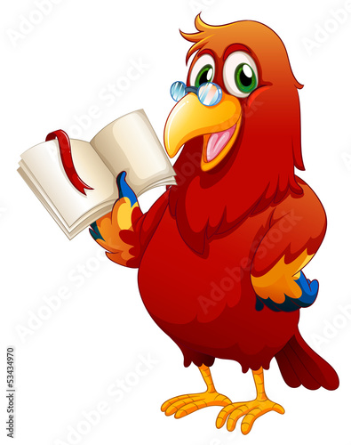 A parrot reading