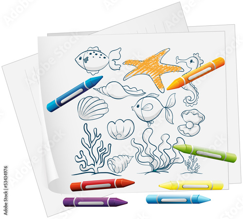 A paper with a doodle design of the different sea creatures