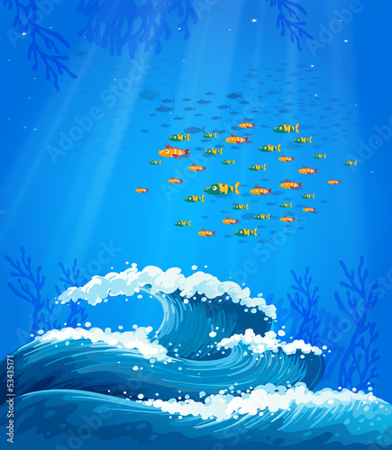 A school of fish and the waves