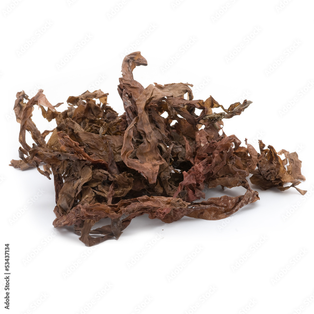 Obraz premium Dulse