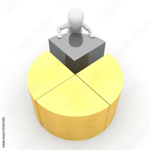 pie chart 5