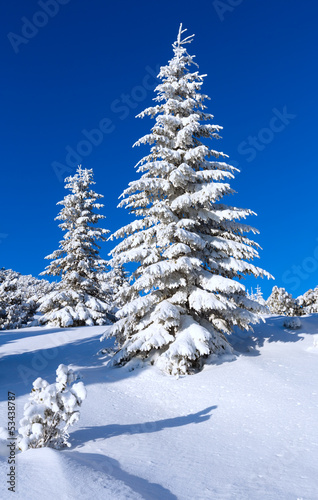 Morning winter mountain landscape