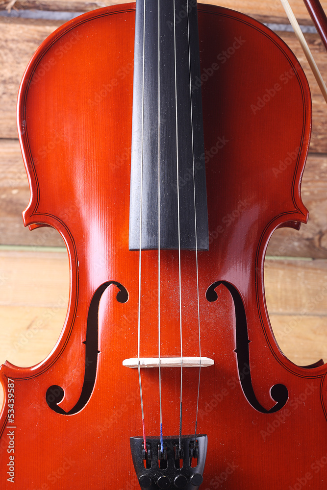 violin