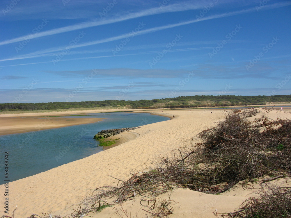Fototapeta premium Schöner Strand in Frankreich Vendèe 4
