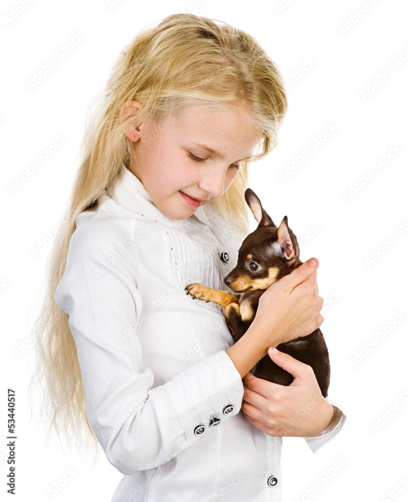 the girl embraces a puppy. isolated on white background