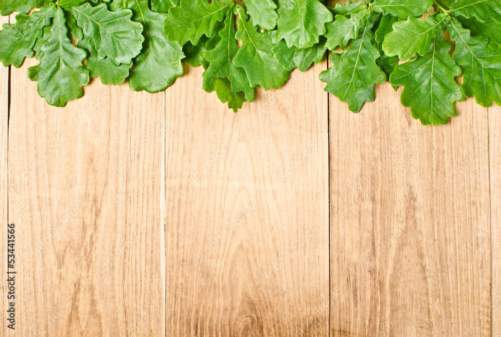 oak oak