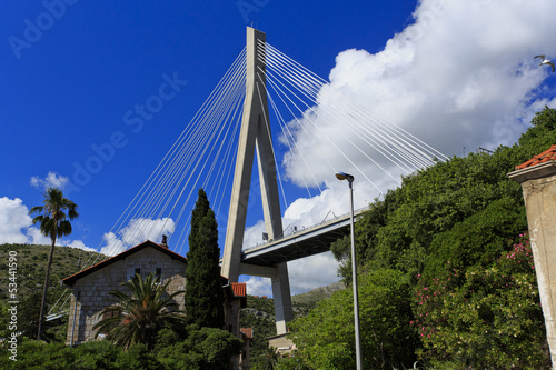 Cable stayed bridge with houses photo