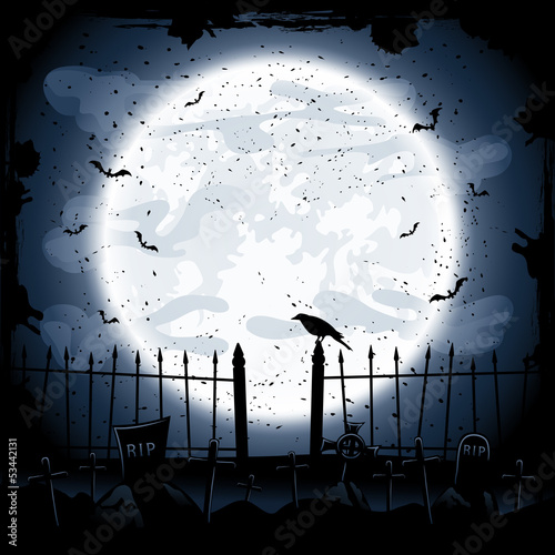 Crow in cemetery