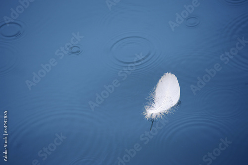 feather