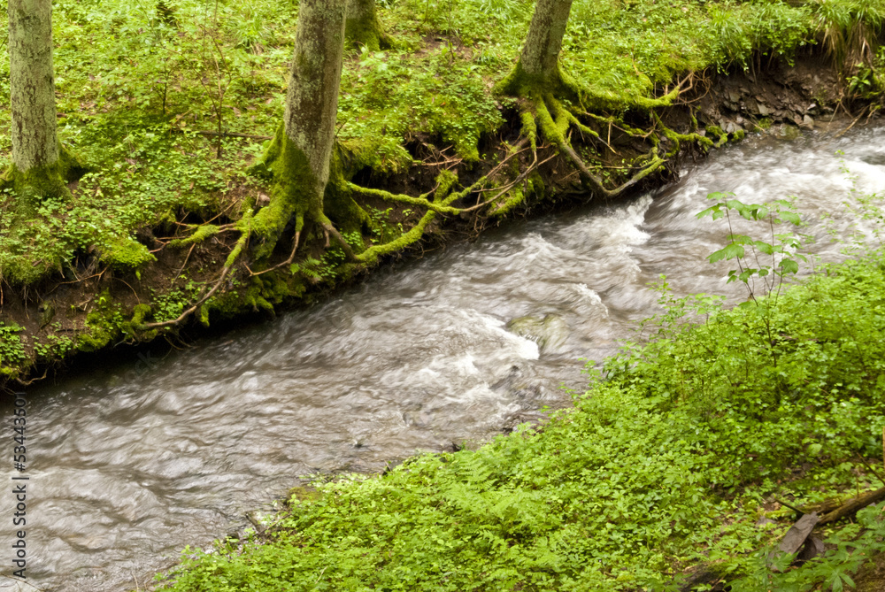 Fototapeta premium On the Hiking Trail Eifelsteig