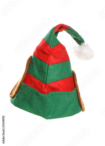 Obraz na plátně elfs hat