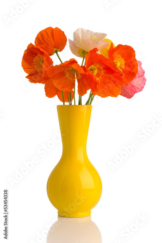 Fototapeta Naklejka Na Ścianę i Meble -  Poppy.