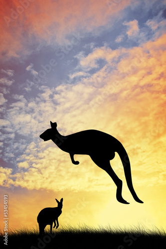 Kangaroos in Australian landscape