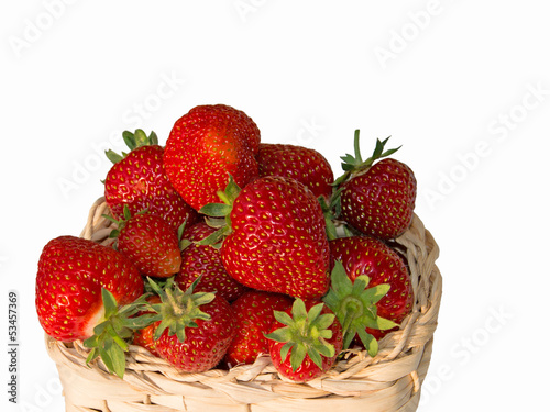 Erdbeeren - Fragaria photo