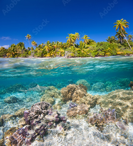 Tropical island © BlueOrange Studio