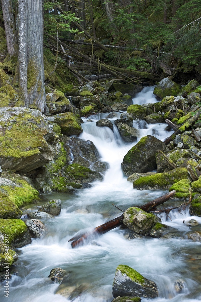 Rocky Creek Rocky Creek