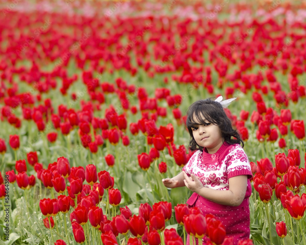 A Little Girl Playing in Tulip Garden A Little Girl Playing in Tulip Garden