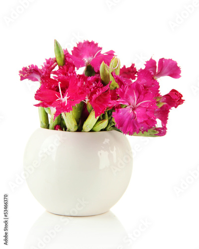 Bouquet of carnations in vase  isolated on white