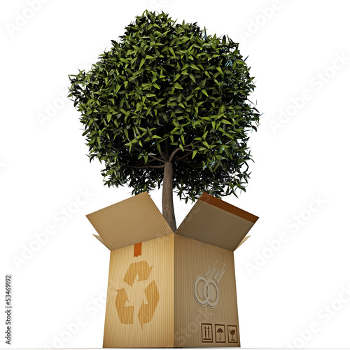 green tree in a box