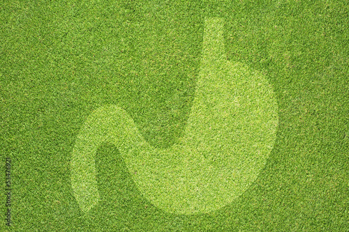 Stomach icon on green grass texture and background