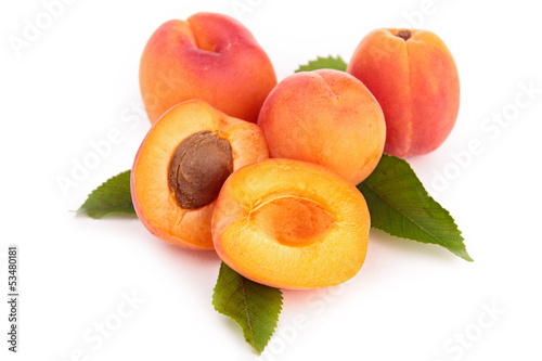 fresh apricot