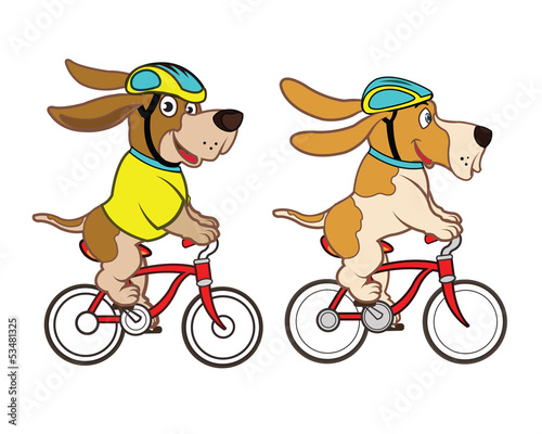 Dog Riding Bike