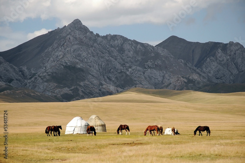 Shepherds Yurt tent  with horses, Kyrgyzstan mountain scenery photo