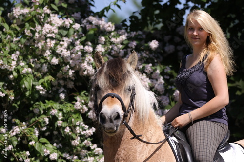 Blonde Reiterin auf Fjordpferd photo