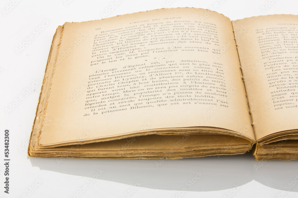 Fototapeta premium livres anciens