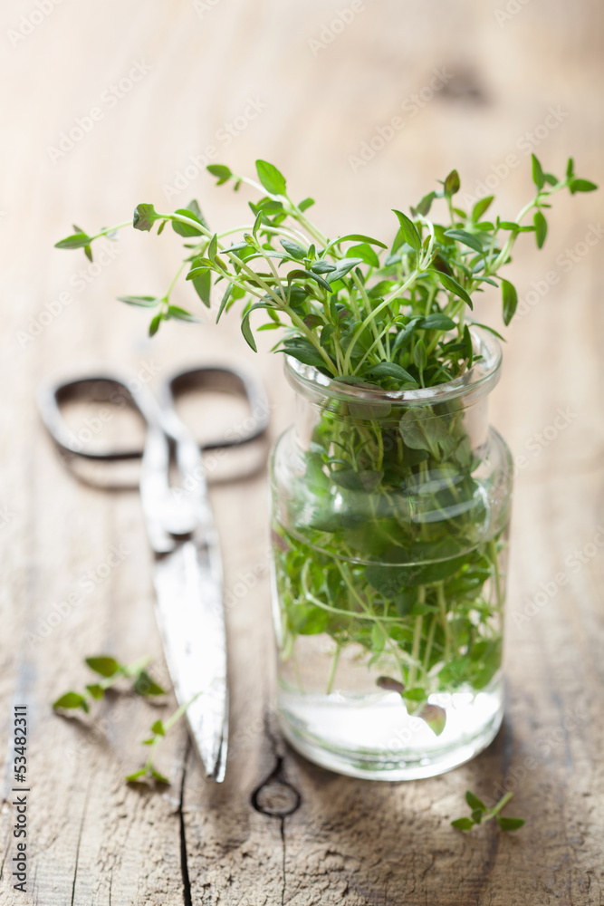 fresh thyme in glass fresh thyme in glass