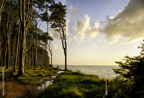 Fototapeta Naklejka Na Ścianę i Meble -  Ostseeküste am Ostseebad Nienhagen