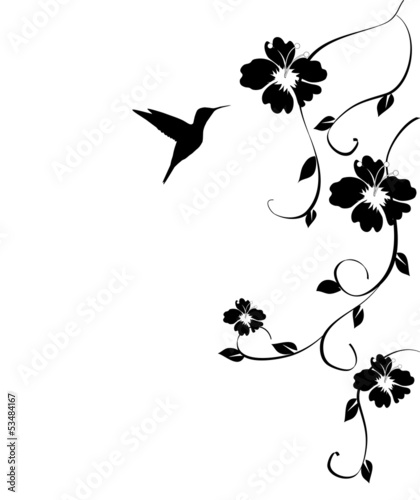 Naklejka na ścianę karta kolibra wektor