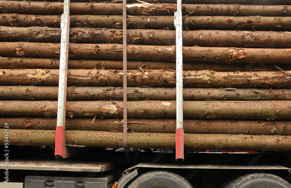 Holz transportieren StockFoto Adobe Stock