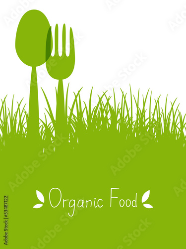 Organic food concept
