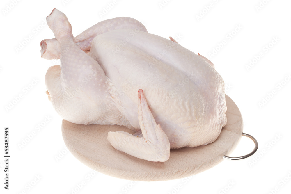 raw chicken on white raw chicken on white
