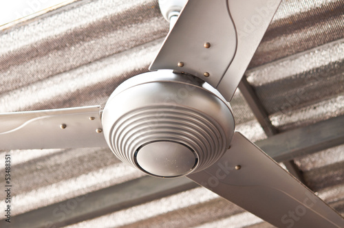 Ceiling fans.