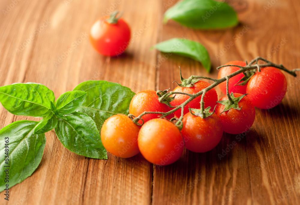 Fresh, ripe cherry tomatoes on an old chopping board. Basil leav Fresh, ripe cherry tomatoes on an old chopping board. Basil leav