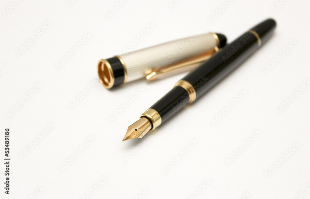 business fountain pen business fountain pen