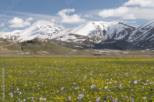 Castelluccio di Norcia plateau