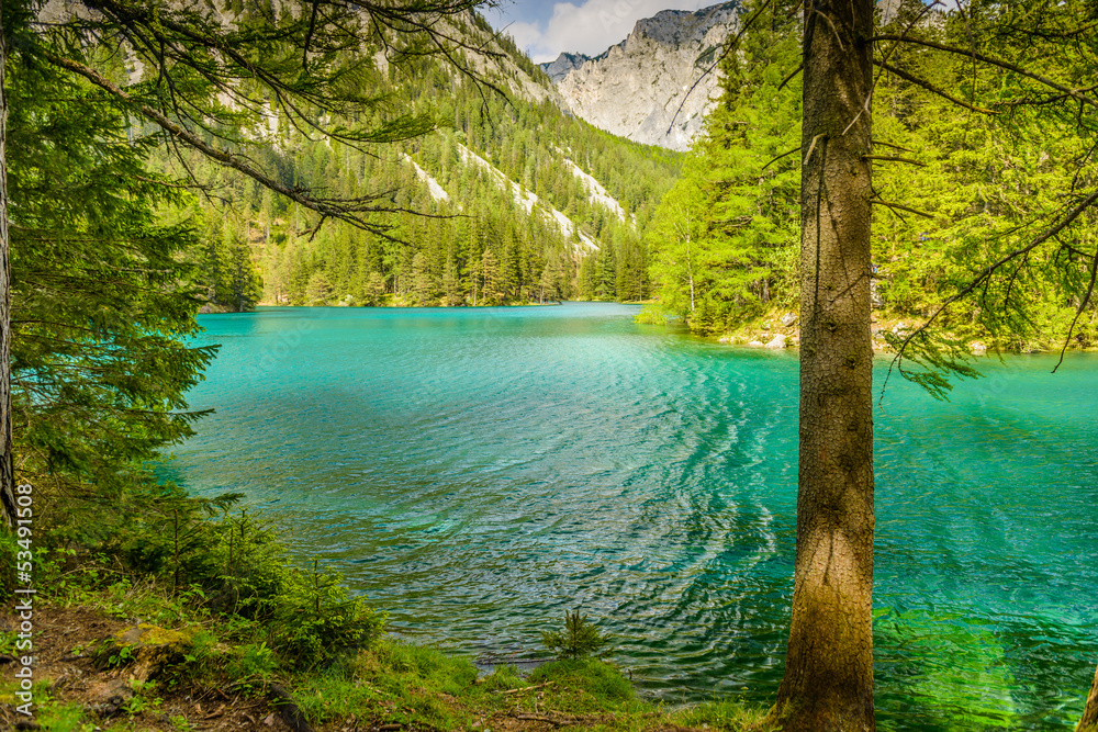 Landscape with  lake-Gruener See,Styria,Austria.