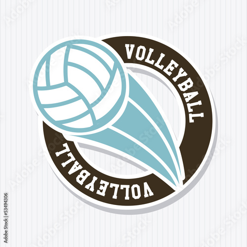 volleyball label