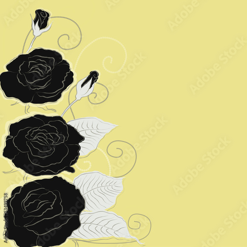 Vector background with black roses