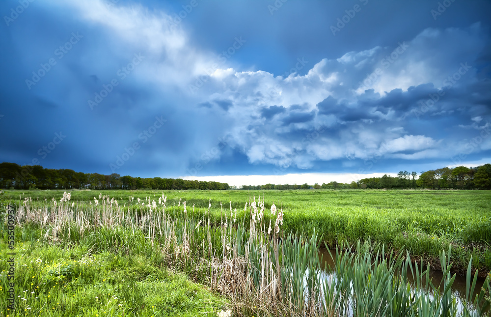stormy cloudscape over green meadow stormy cloudscape over green meadow