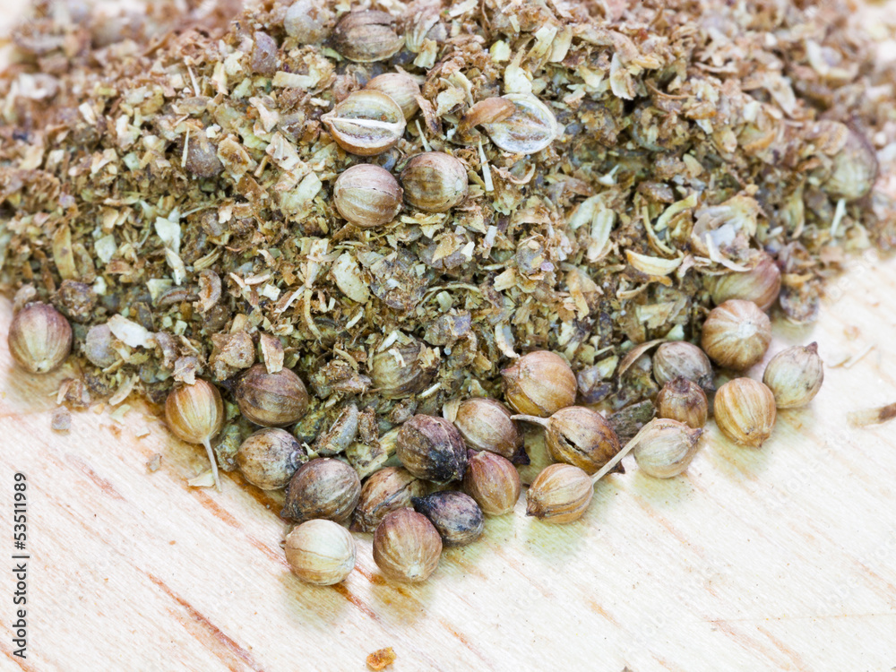 Fototapeta premium freshly milled and dried coriander seeds