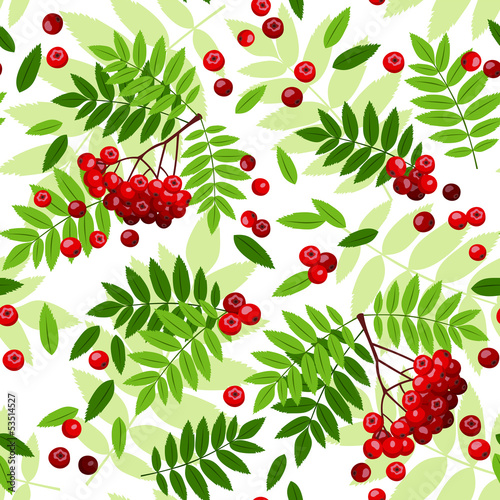 Seamless pattern with rowan leaves and berries. Vector.