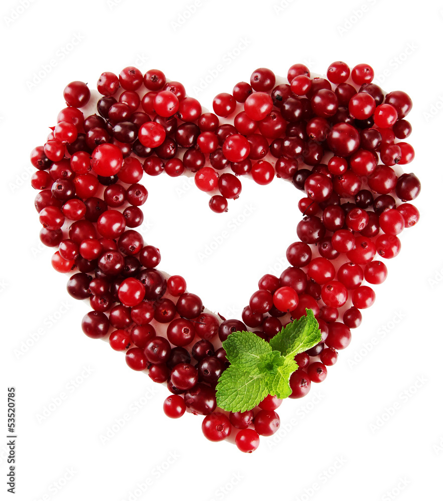 Ripe red cranberries, isolated on white. Ripe red cranberries, isolated on white.