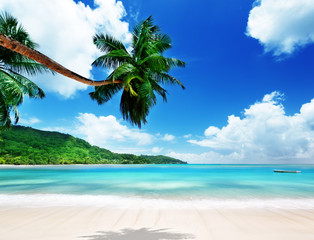 Crédence de cuisine Plage tropicale Côte sauvage de l'île Mahé Seychelles  © Iakov Kalinin