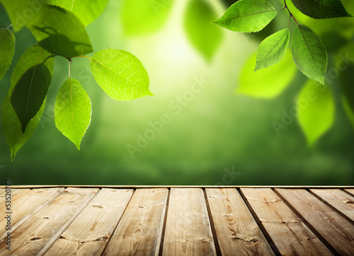 Fototapeta Naklejka Na Ścianę i Meble -  summer background with wooden surface