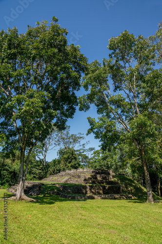Palenque : jeu de pelote au milieu des arbres